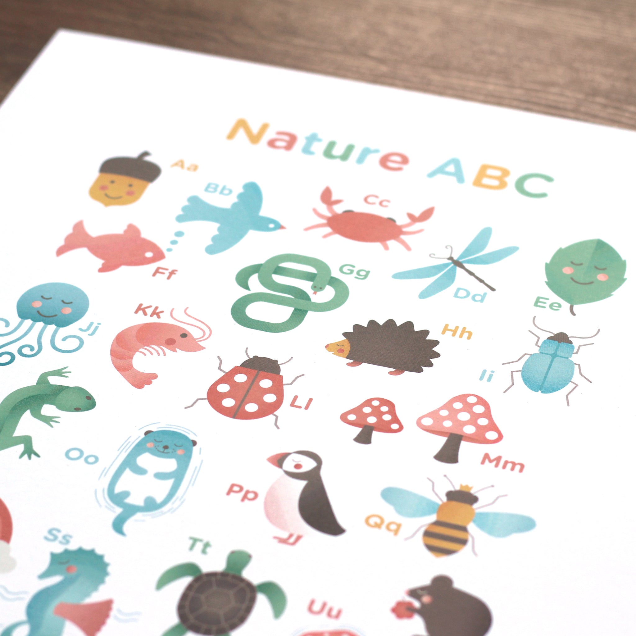 Nature Abc Rocks Nature ABC – thewhitepress